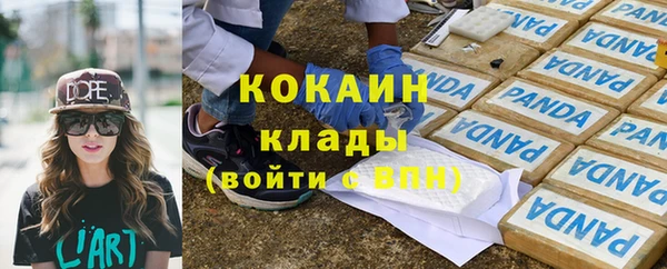 mdpv Вяземский