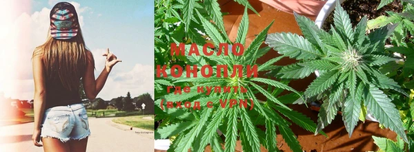 mdpv Вяземский