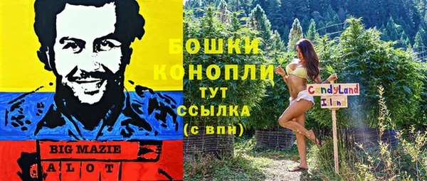 mdpv Вяземский