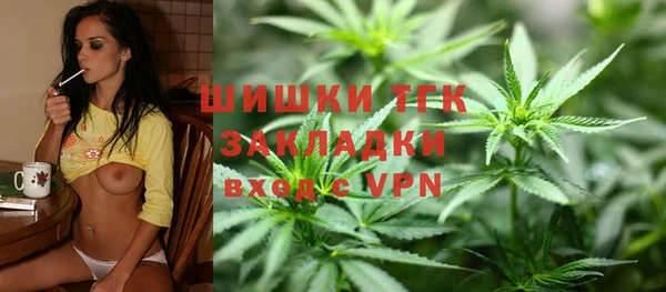 mdpv Вяземский